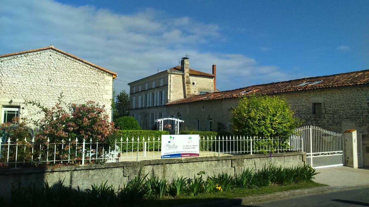 Les Gites Du Vigneron Et Cd'H Saint-Seurin-de-Palenne Экстерьер фото